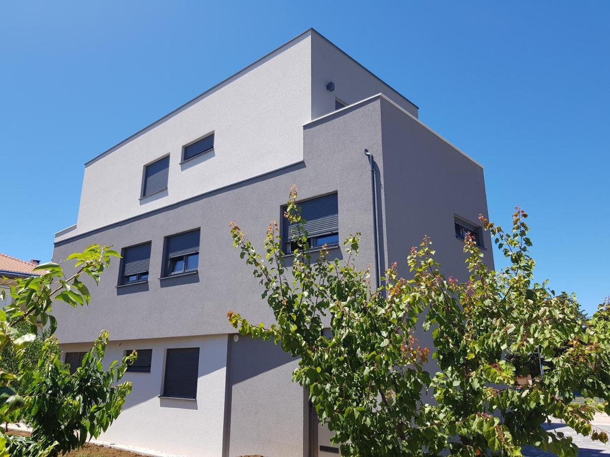 Vila Maslina - Apartman 3 زادار المظهر الخارجي الصورة